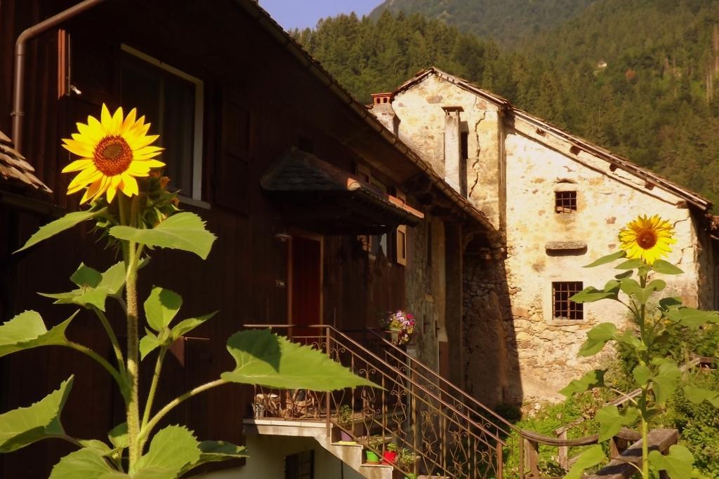 Di Baut Otel Ovaro Dış mekan fotoğraf
